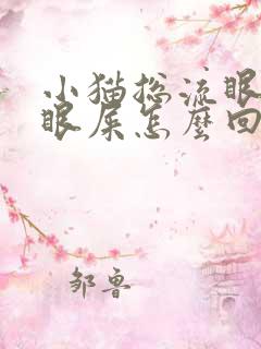 小猫总流眼泪有眼屎怎么回事