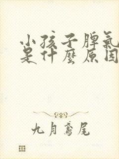 小孩子脾气暴躁是什么原因造成的