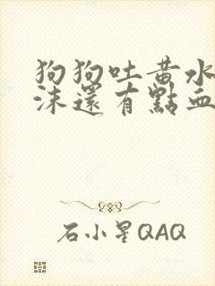 狗狗吐黄水带泡沫还有点血