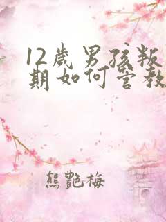 12岁男孩叛逆期如何管教