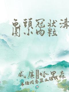 龟头冠状沟长一圈小肉粒