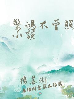 惊鸿不曾照影来小说