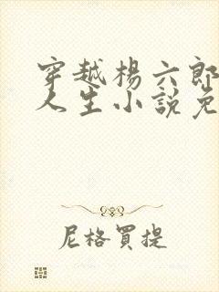 穿越杨六郎猎艳人生小说免费阅读全文