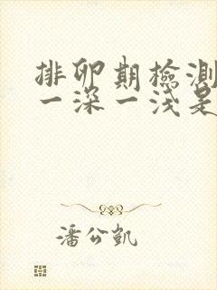 排卵期检测试纸一深一浅是怀孕吗