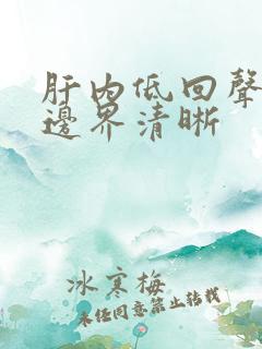 肝内低回声结节边界清晰