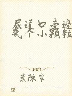 尿道口旁边长了几个小颗粒