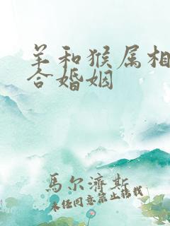 羊和猴属相合不合婚姻