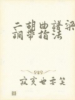 二胡曲谱梁祝g调带指法