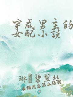 穿成男主的继妹女配小说