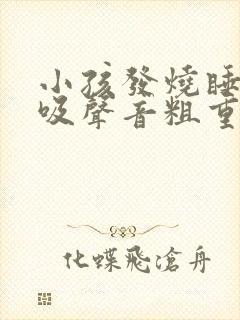 小孩发烧睡觉呼吸声音粗重呼哧呼哧的