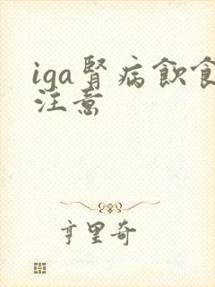 iga肾病饮食注意