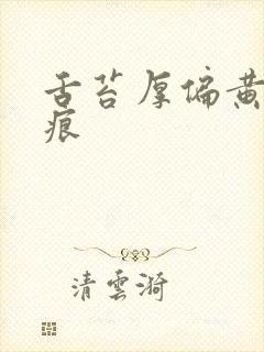 舌苔厚偏黄有齿痕