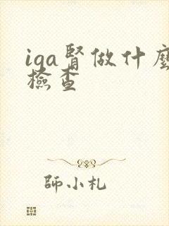 iga肾做什么检查