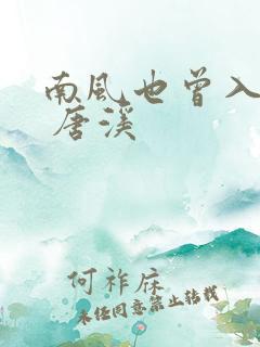 南风也曾入我怀 唐溪