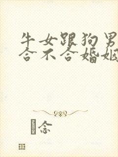 牛女跟狗男属相合不合婚姻