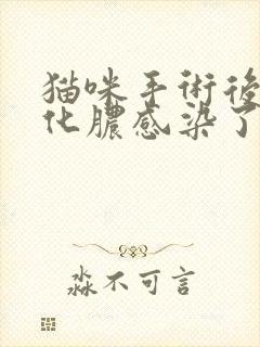 猫咪手术后伤口化脓感染了怎么办