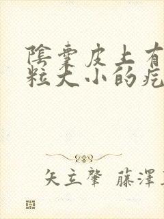 阴囊皮上有小米粒大小的疙瘩