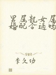 男属龙女属羊的婚配合适吗