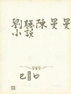 刘聪陈曼曼赵兰小说