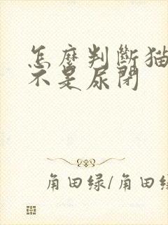 怎么判断猫咪是不是尿闭