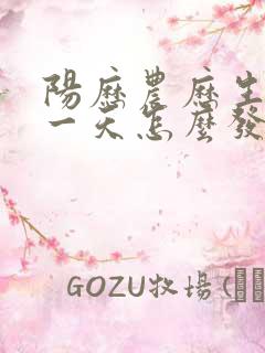 阳历农历生日同一天怎么发朋友圈