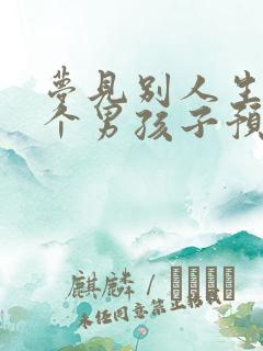 梦见别人生了一个男孩子预示什么