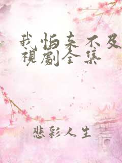 我怕来不及了电视剧全集