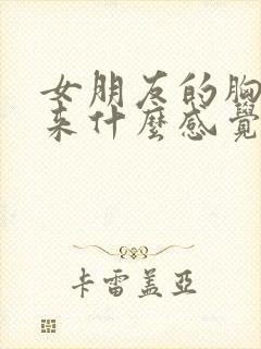 女朋友的胸摸起来什么感觉