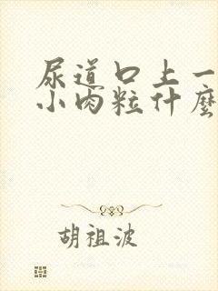 尿道口上一点有小肉粒什么情况