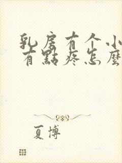 乳房有个小疙瘩有点疼怎么办