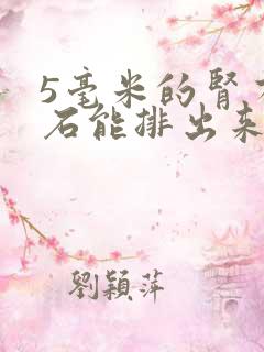 5毫米的肾有结石能排出来吗