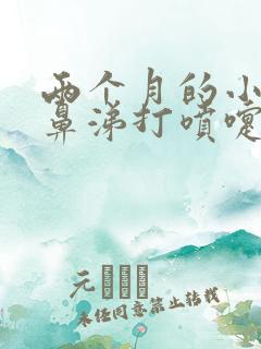 两个月的小狗流鼻涕打喷嚏怎么办