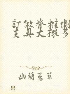 订做脊椎侧弯矫支具大概多少钱