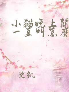 小猫晚上关笼子一直叫怎么办