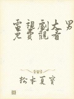 电视剧大男当婚免费观看