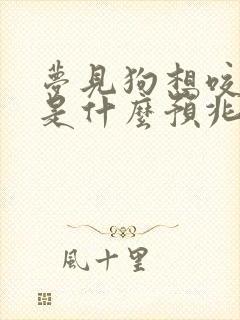 梦见狗想咬自己是什么预兆