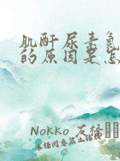 肌酐尿素氮升高的原因是怎么回事