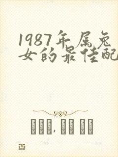 1987年属兔女的最佳配偶