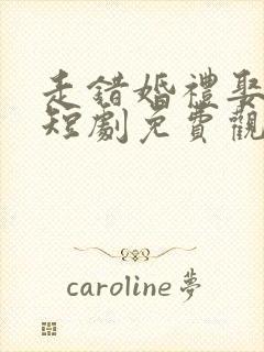 走错婚礼娶对妻短剧免费观看全集