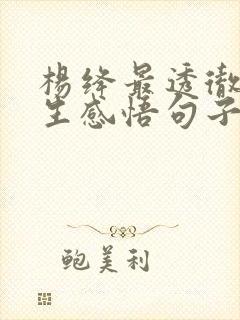 杨绛最透彻的人生感悟句子