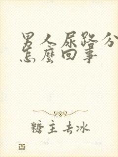 男人尿路分叉是怎么回事