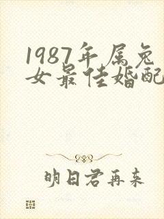 1987年属兔女最佳婚配属相