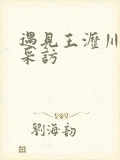 遇见王沥川首映采访