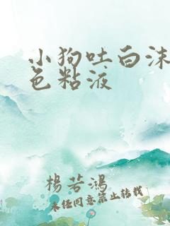 小狗吐白沫和黄色粘液