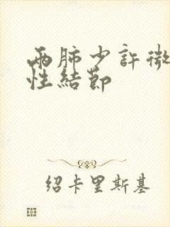 两肺少许微小实性结节