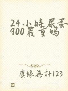 24小时尿蛋白900严重吗