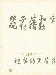 双子座和摩羯座配对指数