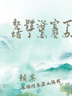 整体浴室下水道堵了怎么办