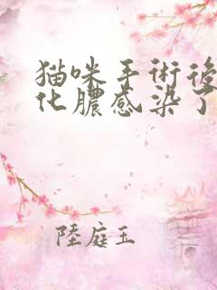 猫咪手术后伤口化脓感染了怎么办