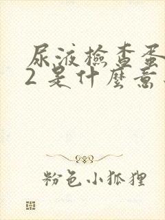 尿液检查蛋白质2 是什么意思